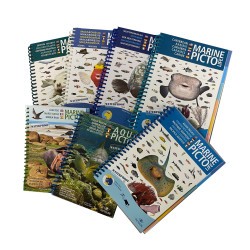 Marine Pictolife collection